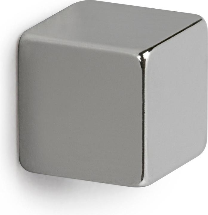 Actual product image Maul Cube magnet (4 x)