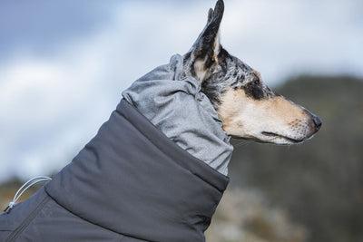 Actual product image Hurtta Extreme (50, Dog coat)