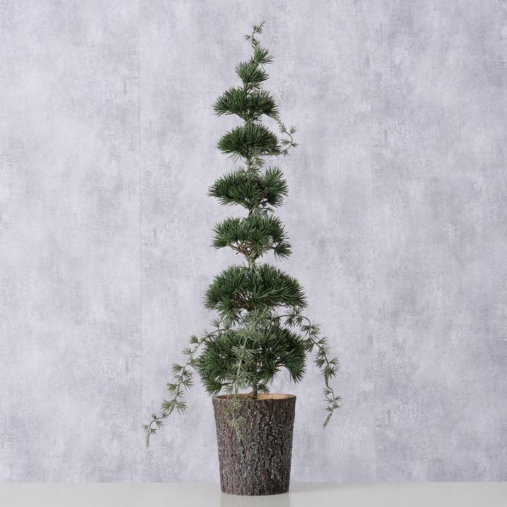 Image du produit Boltze Home Cèdre (64 cm)