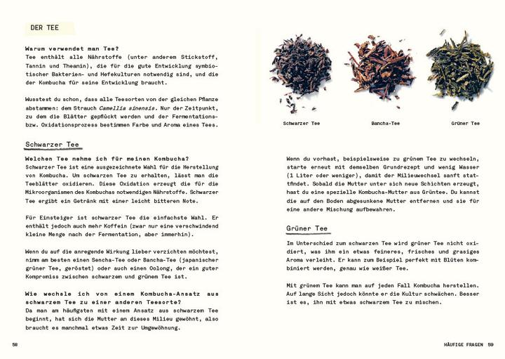Produktbild Kombucha do it yourself (Deutsch, Julie Ponge, 2023)