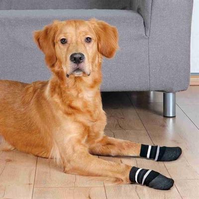 Actual product image Trixie Dog socks size M-L (M, L, Dog socks)