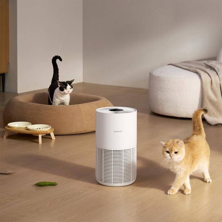 Actual product image Xiaomi BHR9969EU (27 m²)