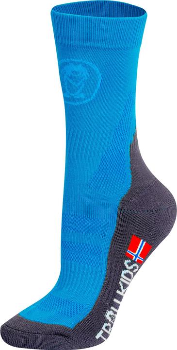 Bleu moyen