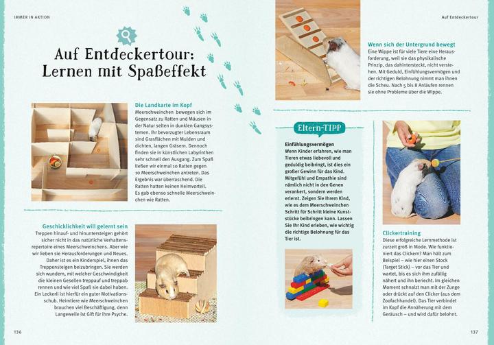 Produktbild Neugierige Meerschweinchen - So fühlen sie sich wohl (Deutsch, Immanuel Birmelin, 2015)