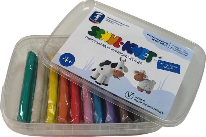 Immagine prodotto Feuchtmann Argilla da modellare per la scuola 10x 45g Big Schoolbox 10 colori