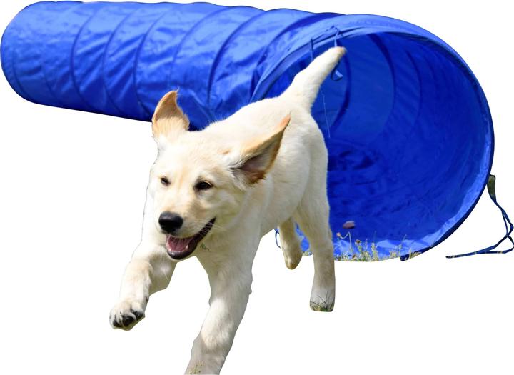 Dobar Agility-Tunnel (Agility)