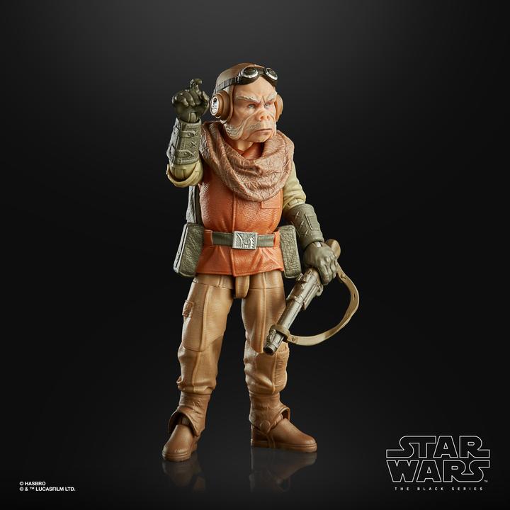 Actual product image Hasbro The Black Series Kuiil