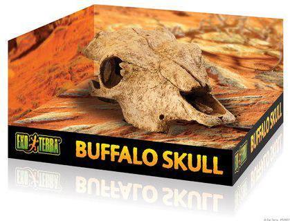 Produktbild Exo Terra EXOTERRA - Cave Buffalo Skull - (222.2057)