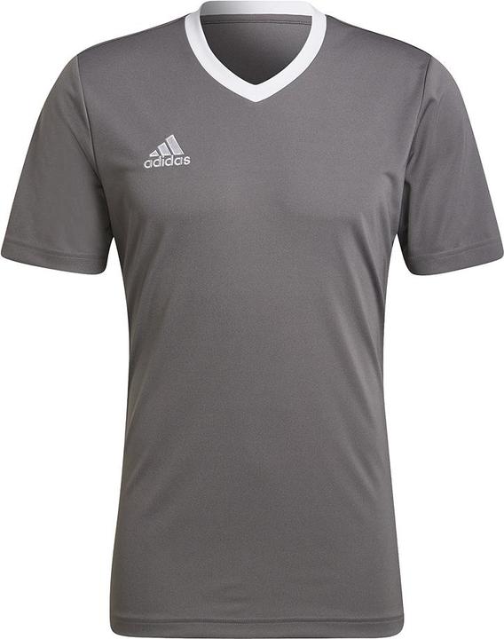 Produktbild adidas Entrada 22 Fussballtrikot Herren (XXL)