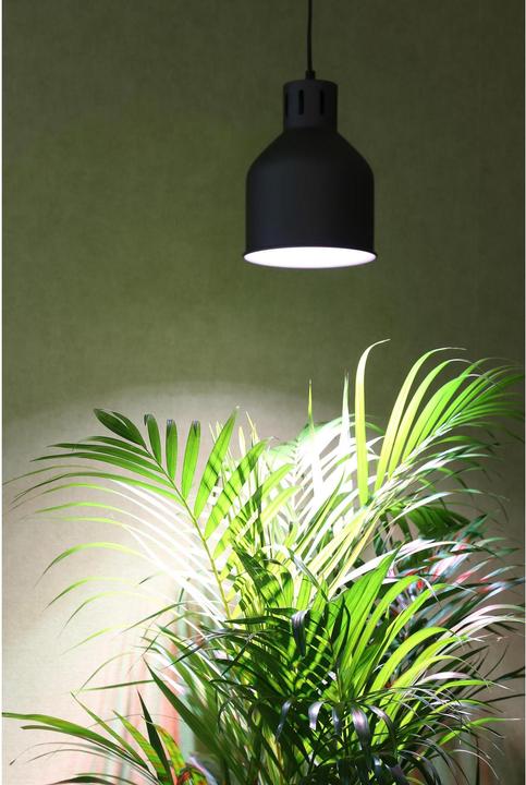 Actual product image Venso Saga (LED, 230 V)