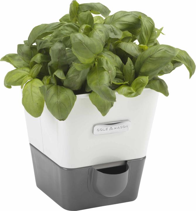 Image du produit Cole & Mason Kräutertopf (14 cm)