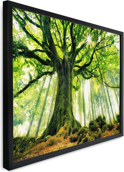 Image du produit Trenddeko Kiciak - Forêt de contes de fées (120 x 100 cm)