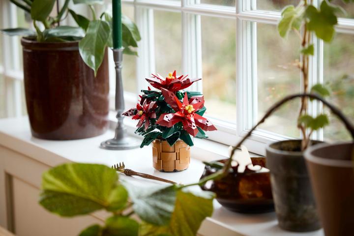 Produktbild LEGO Weihnachtsstern (10370, LEGO Icons)