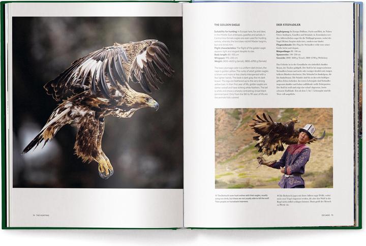 Actual product image Jagd - Das ultimative Buch (German, Peter Feierabend, Sascha Numssen, 2024)