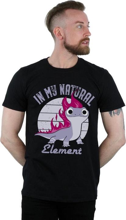 Produktbild Disney Frozen 2 Salamander Bruni Element TShirt (XXL)
