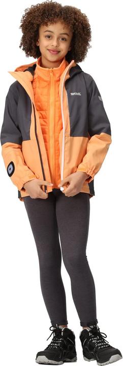 Image du produit Regatta Veste étanche Hydrate VIII 3 en 1 (170, 176)