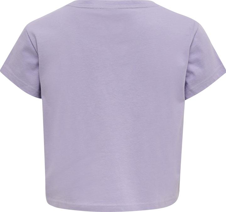 Image du produit hummel Legacy Woman Cropped T-Shirt (M)