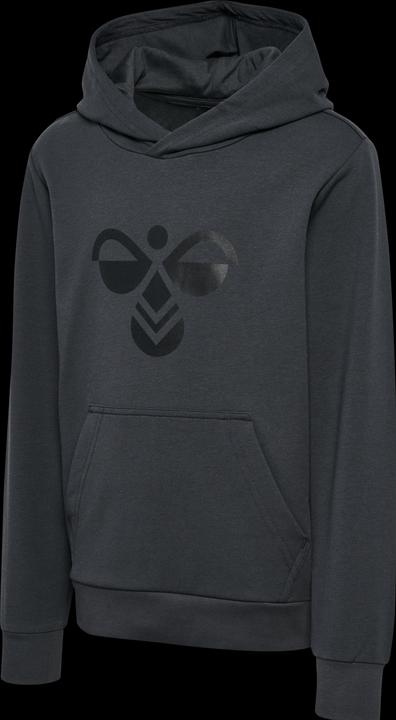 Image du produit hummel hmlCUATRO HOODIE (122)