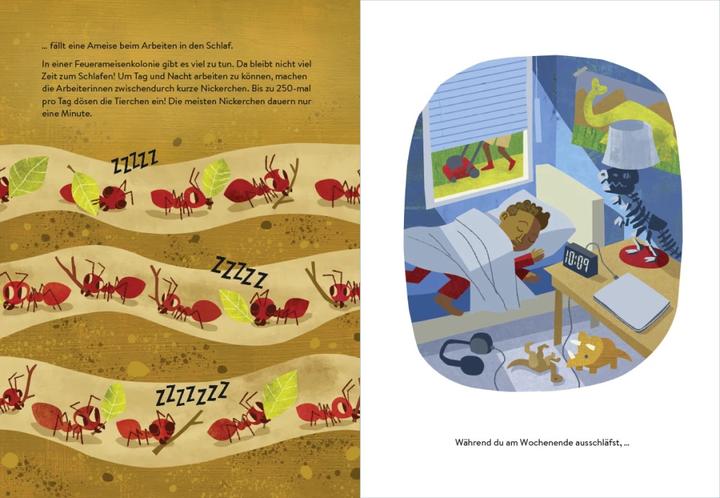 Produktbild Ab ins Nest! – Wie Tiere schlafen gehen (Deutsch, Maria Birmingham, Susanne Schmidt-Wussow, Kyle Reed, 2023)