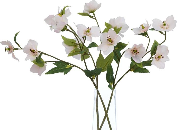 Immagine prodotto Hill Interiors The Natural Garden Collection Elleboro Fiore Artificiale (47 cm)