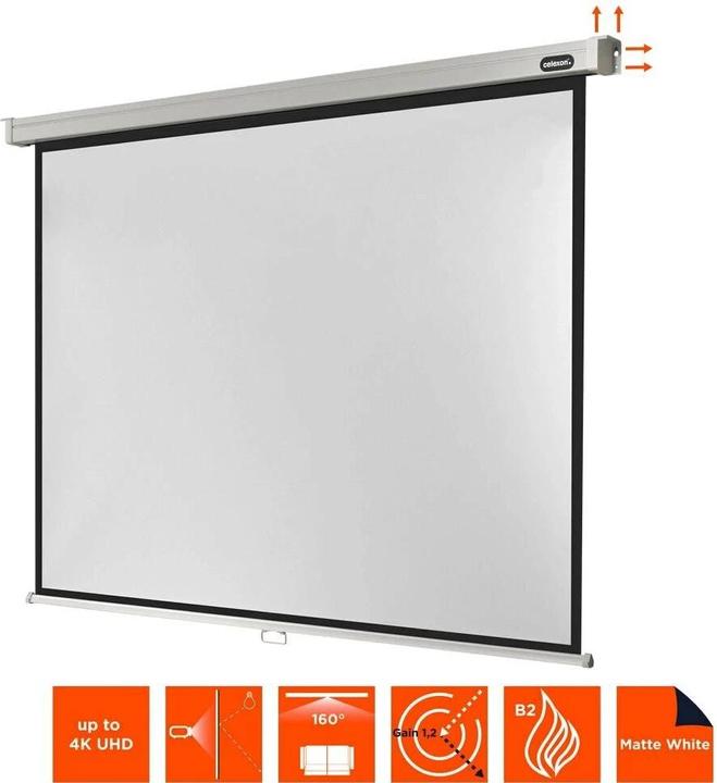 Produktbild Celexon Rollo Professional, Leinwand, 4:3 (97.48", 4:3)
