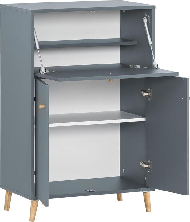 Actual product image Schildmeyer Series 500 (65.5 x 39 x 102 cm)