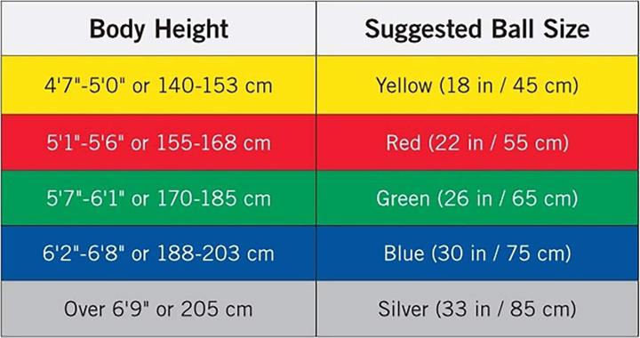 Actual product image TheraBand Abs (75 cm)