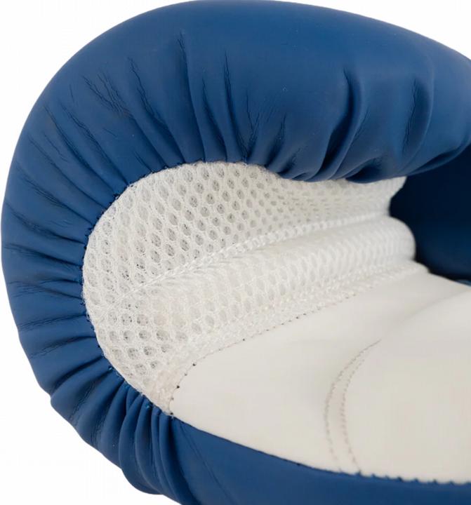 Produktbild MetalBoxe Handschuhe Training (10 OZ, 10)