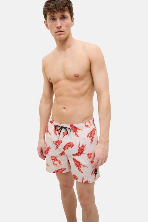 Produktbild Jack & Jones Badehose MAUI Schwimm-Shorts (M)