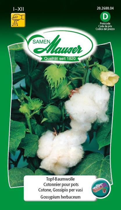 Image du produit Samen Mauser Coton en pot (Graines de plantes)
