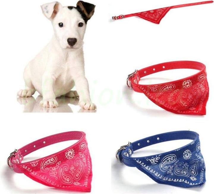 Produktbild Hermex Hundehalsband mit Tuch Bandana Katze Einstellbar Leder Stoff S BLAU (S, Hund, Hundesport)