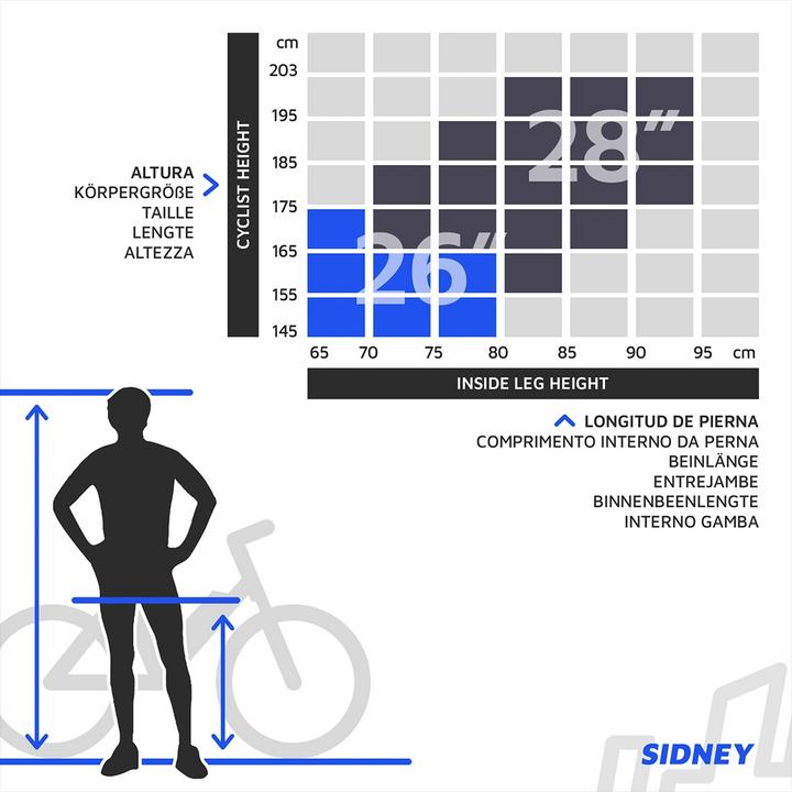 Actual product image Urbanbiker Sidney PLUS 23 City E-Bike