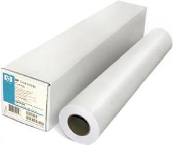 HP Professional Canvas matt 392 g/m² 1067mm x 15,2 m (392 g/m², 1 x)