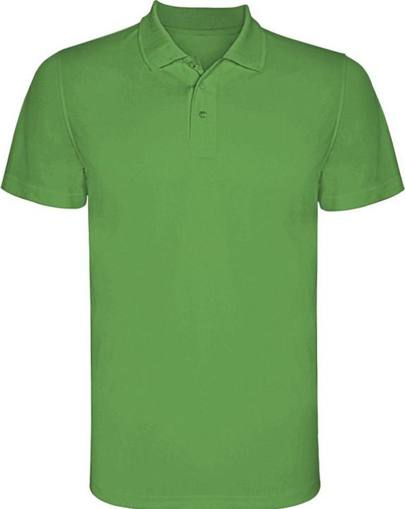 Verde felce