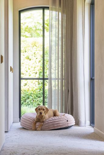 Produktbild Designed by Lotte Liegekissen Reza (Hund)