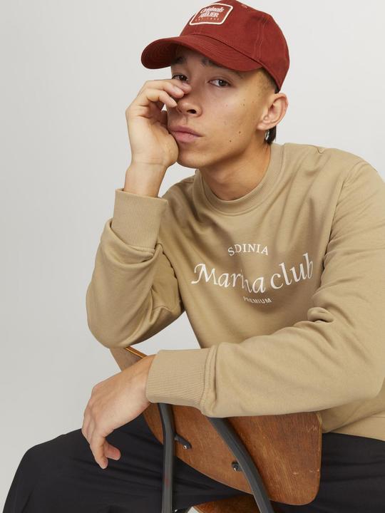 Produktbild Jack & Jones Gedruckt Sweatshirt mit Rundhals Sweatshirt mit Rundhals (S)