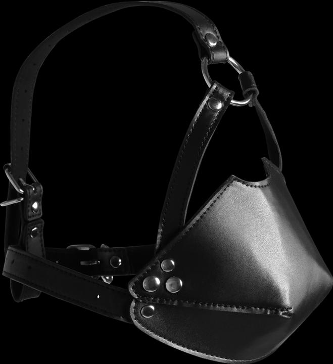 Immagine prodotto Ouch! Head Harness with Mouth Cover and Solid Ball Gag