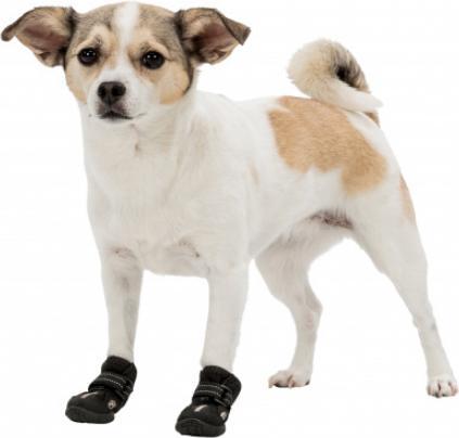 Actual product image Trixie Paw Protector Walker Active (S, M, Dog boots)