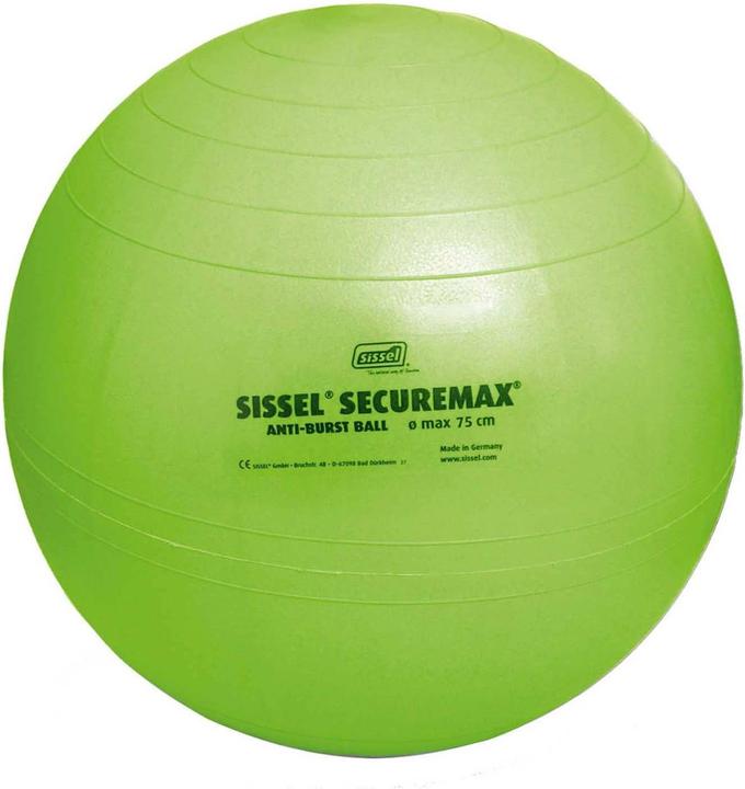 Sissel Securemax Ball (55 cm)