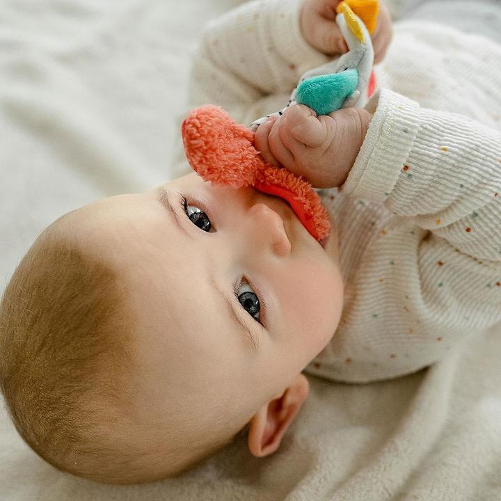 Immagine prodotto Fehn DoBabyDoo pesce scoppiettante