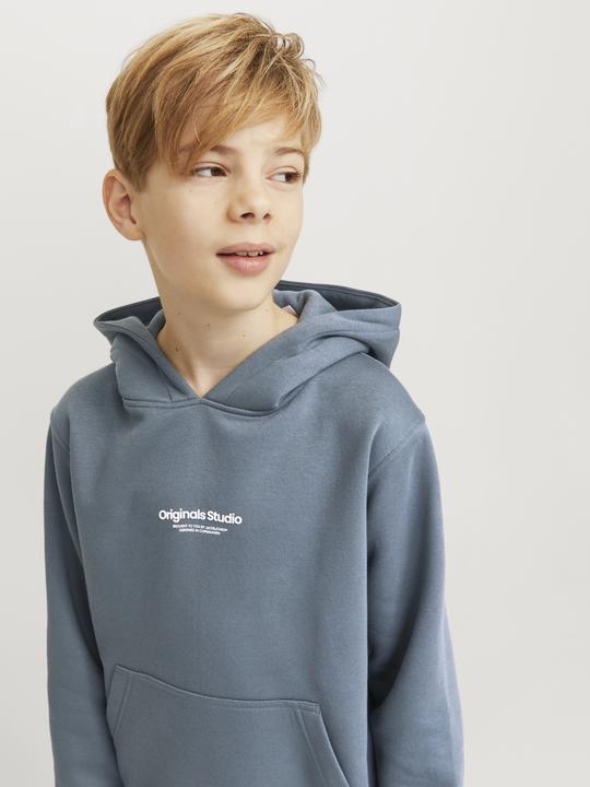 Actual product image Jack & Jones Jorvesterbro Sweat Hood Noos Jnr (164)