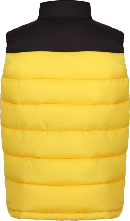 Actual product image Regatta Mens Vintage Colour Block Gilet (3XL)