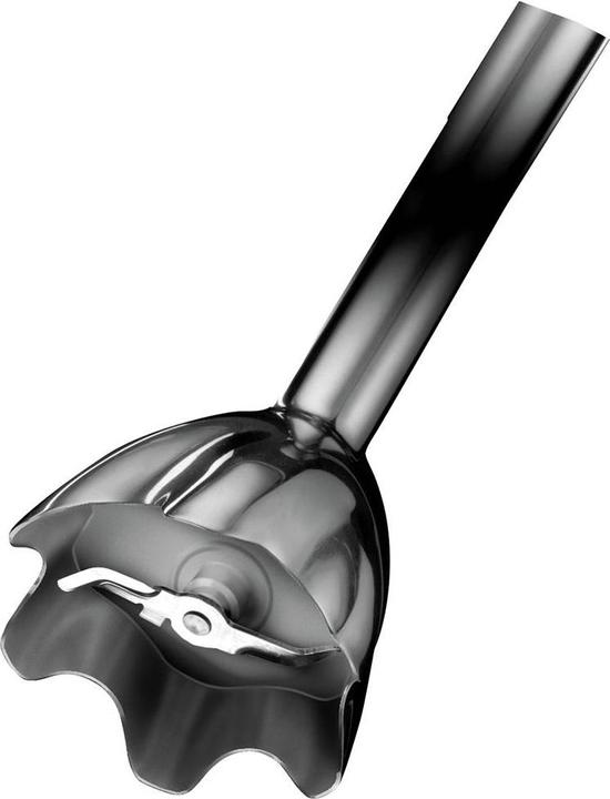 Actual product image Braun Hand Blender MQ 3135 100YRS Edition