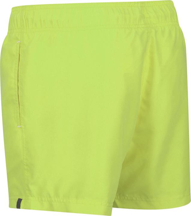 Image du produit Regatta - Short de bain MAWSON - Homme (XXL)