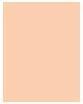 Actual product image Sisley Stylo Correct No 1 (1 Light)
