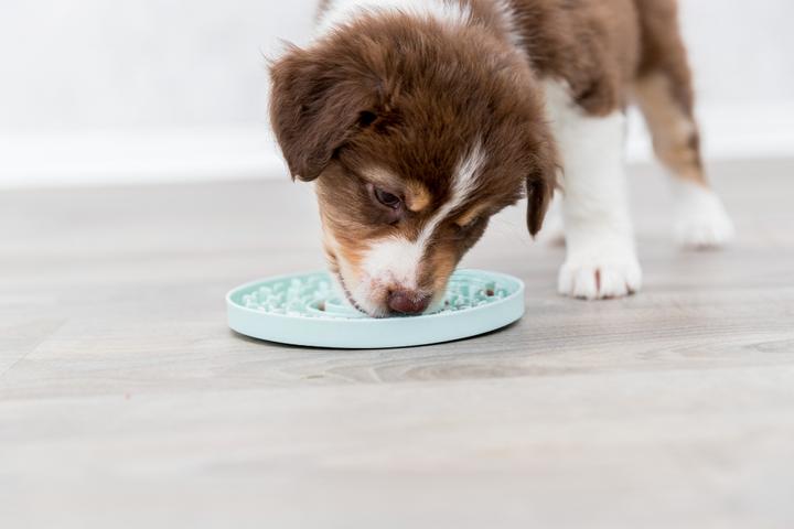 Actual product image Trixie Junior licking plate (Snack bag dog)
