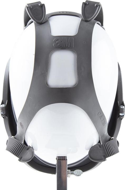 Actual product image 3M Full mask (FFP3, 1 x)