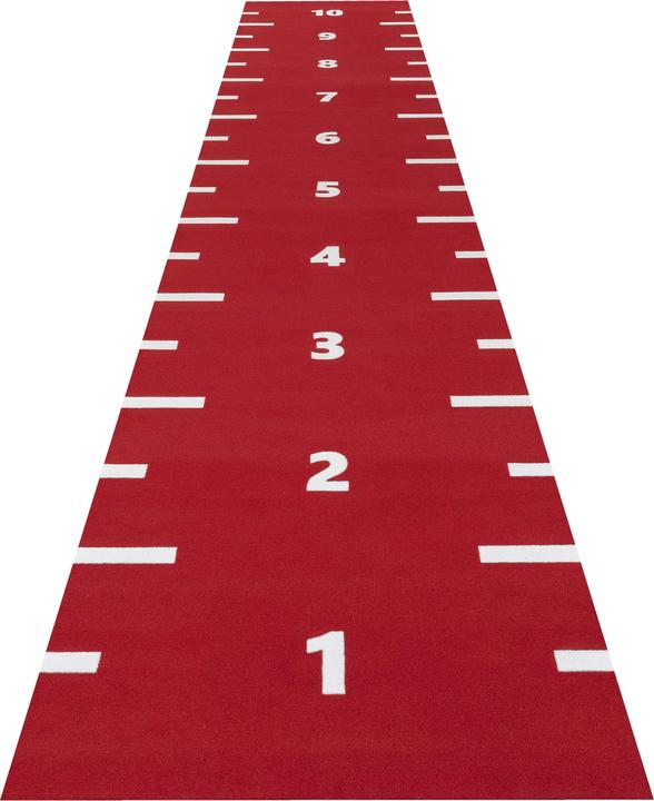 Sprinttracks Piste en gazon synthétique Numbered (90000 g)