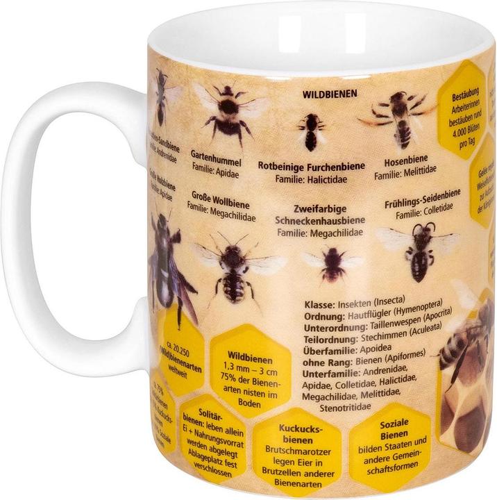 Immagine prodotto Könitz Tazza da caffè Knowledge Bee 490 ml, 1 pezzo, Multicolore (490 ml, 1 x)