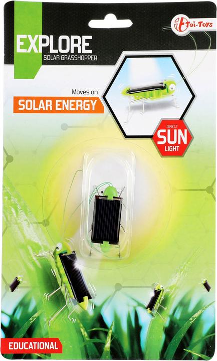 Immagine prodotto Toi-Toys Scoprire la cavalletta solare